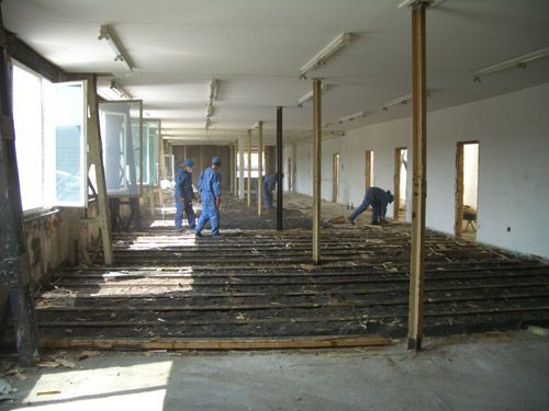 entkernung-1c2142d4 Entkernung